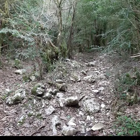 Vendégház Hamiti Llogara Dukat