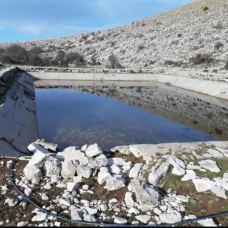 Hamiti Llogara